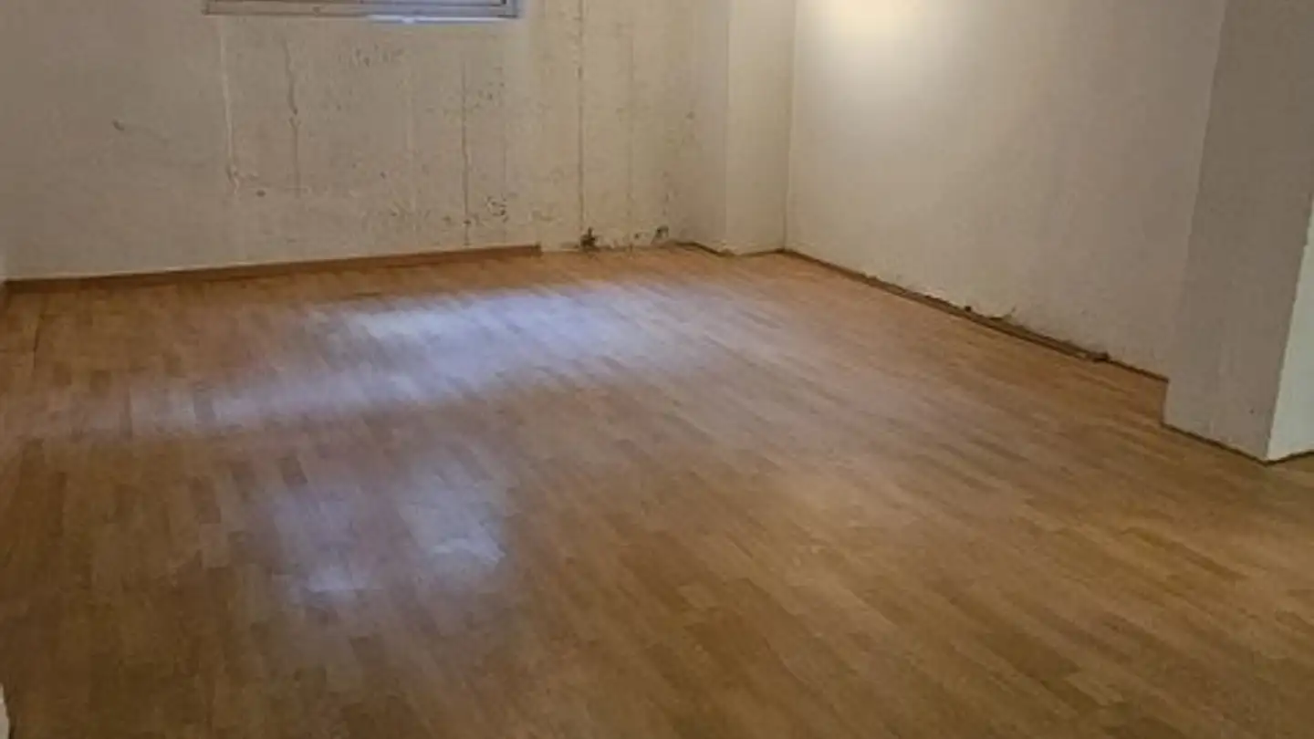 Laboratorio in affitto - Holeestrasse 157, 4054 Basel - Foto 4