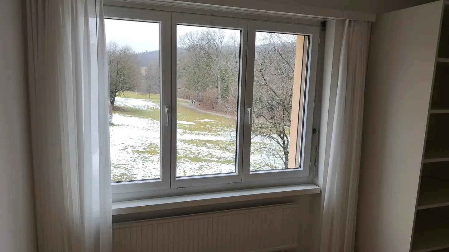 Appartamento in affitto - Buchholzstrasse 173, 8053 Zürich - Foto 4