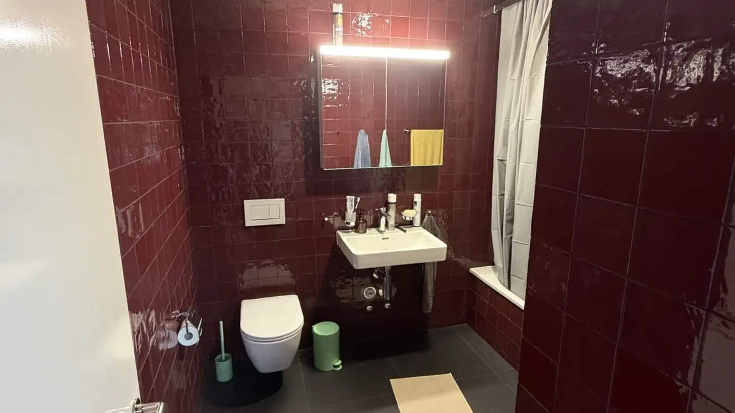 Single room for rent - Zürcherstrasse 31, 8102 Oberengstringen - Photo 3