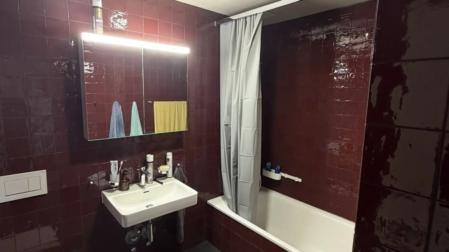 Single room for rent - Zürcherstrasse 31, 8102 Oberengstringen - Photo 4