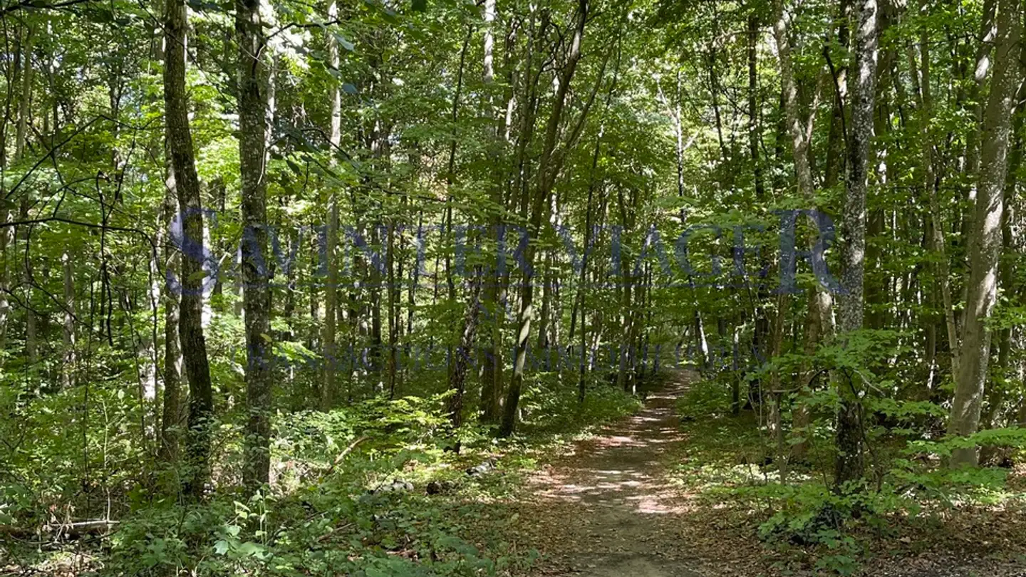 Apartment for sale - 1196 Gland