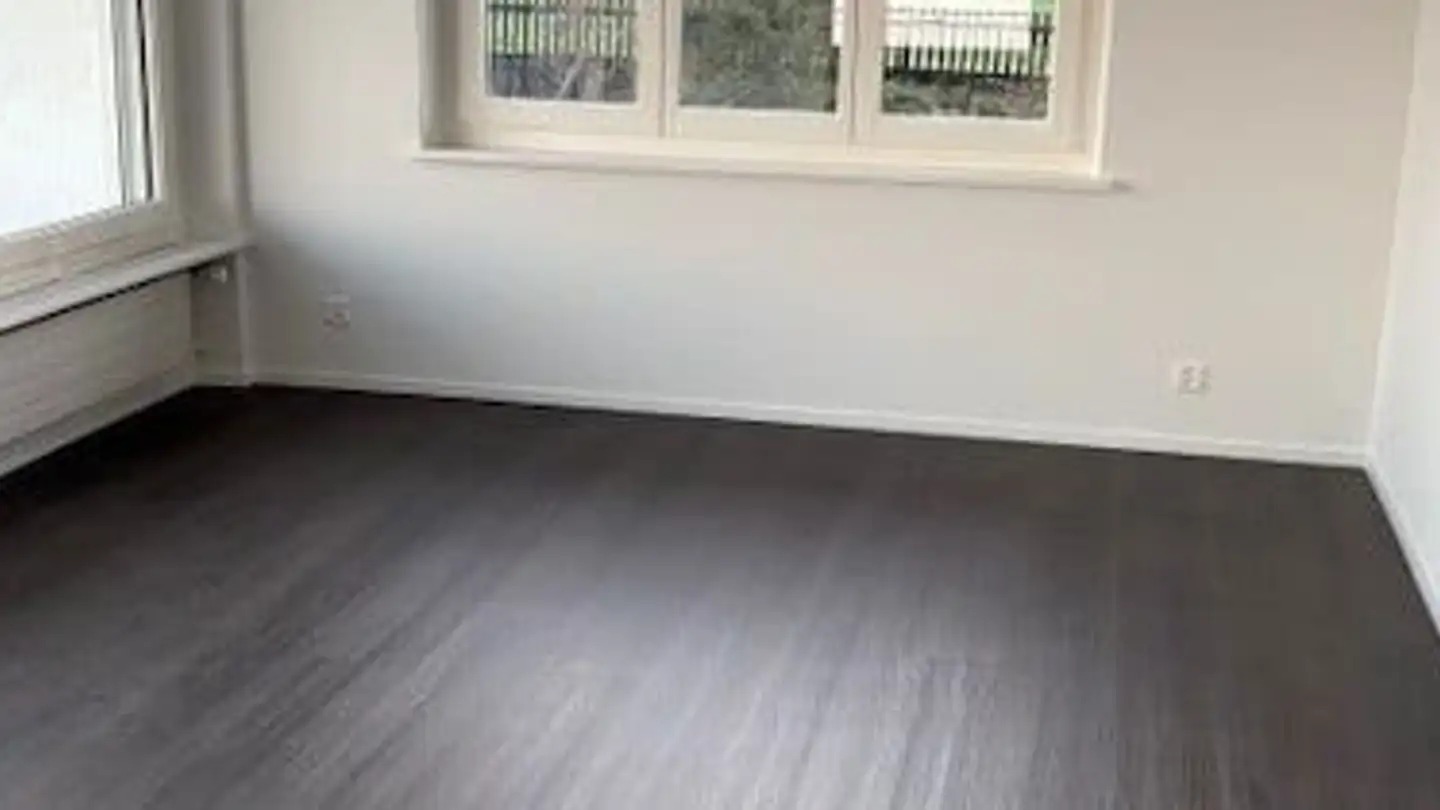 Appartamento in affitto - Seestrasse 96, 8805 Richterswil - Foto 4