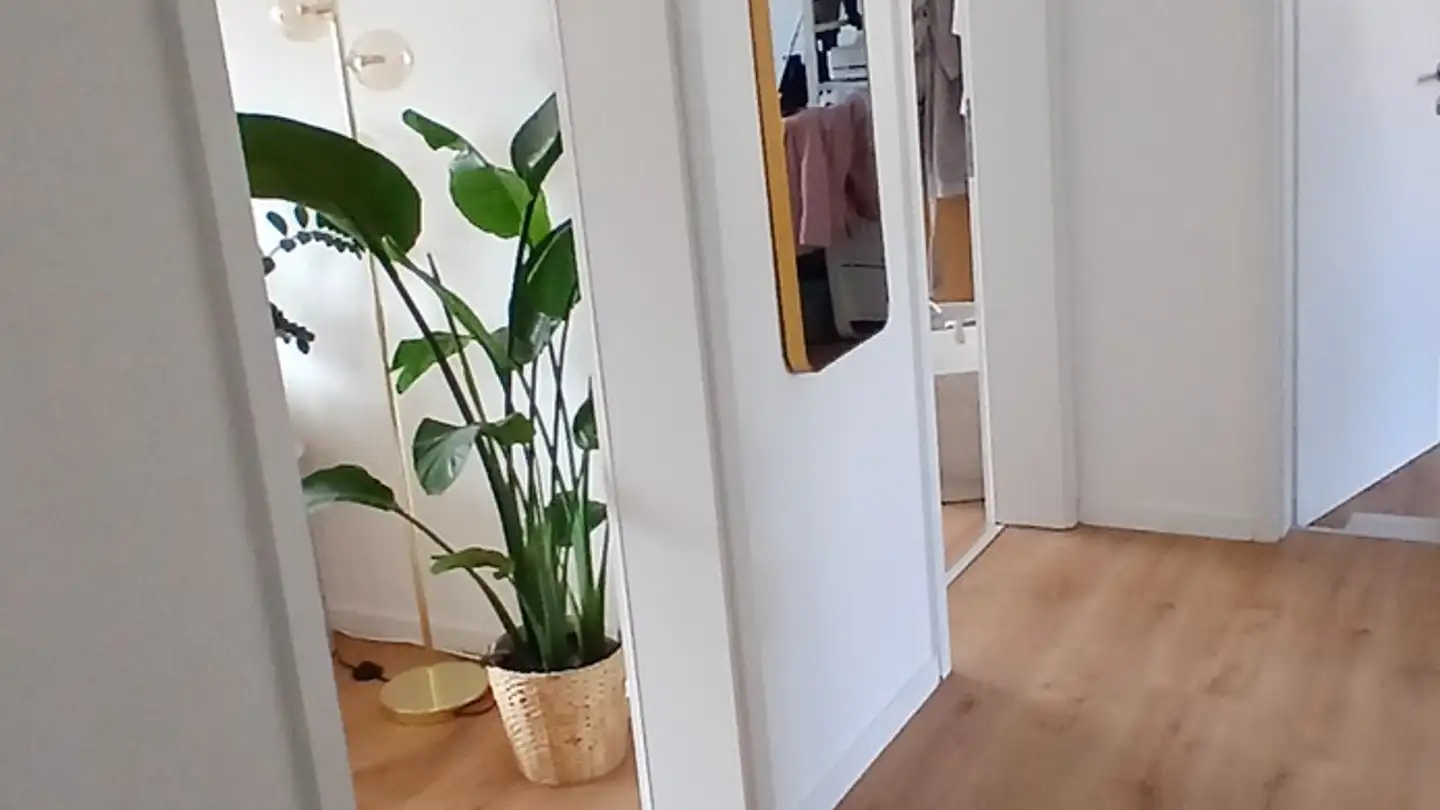 Appartement à louer - Grederstrasse 15, 4512 Bellach - Photo 4