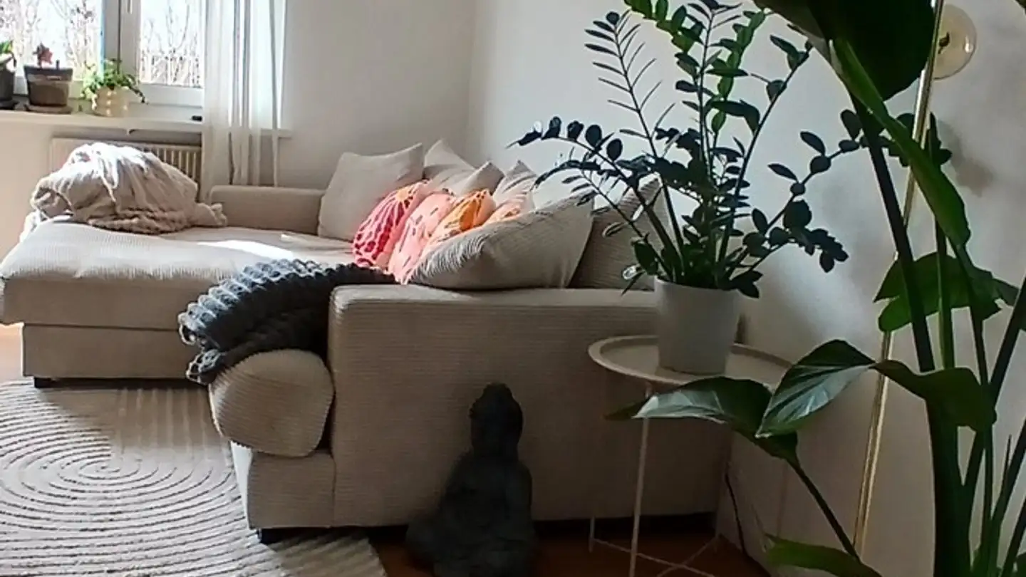 Appartement à louer - Grederstrasse 15, 4512 Bellach