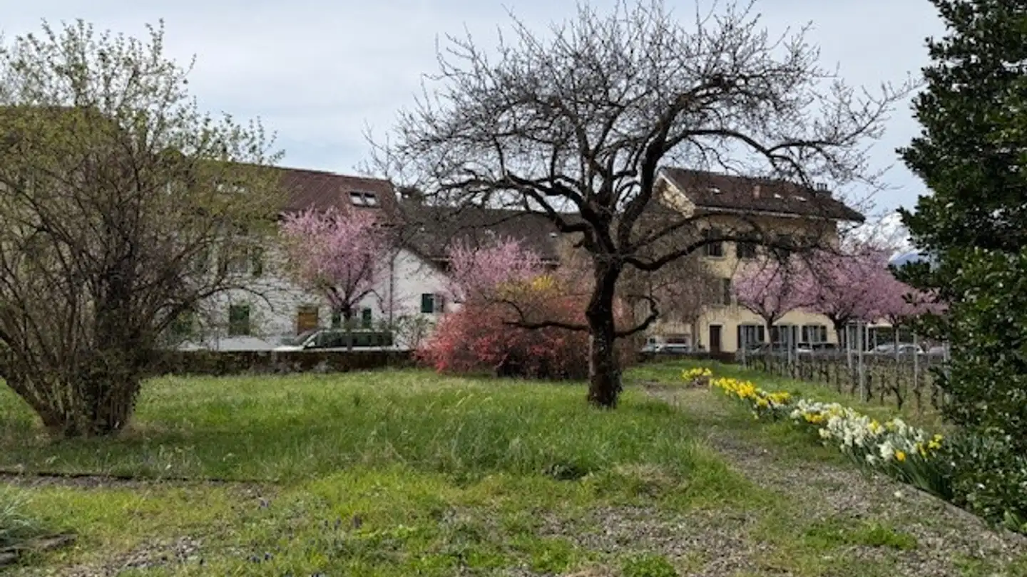 Single house for rent - Avenue Du Cloître 23, 1860 Aigle - Photo 2