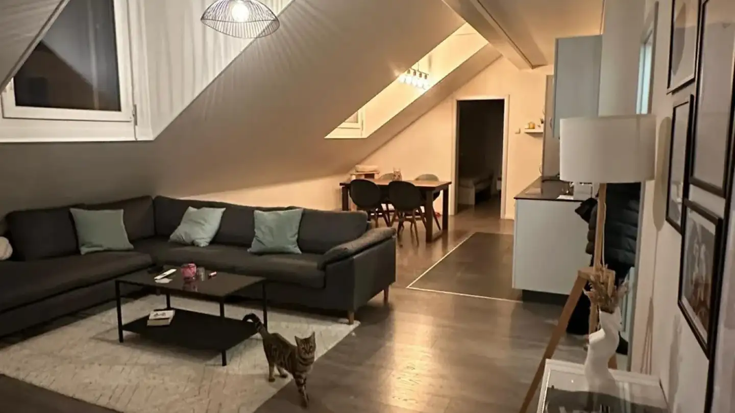 Wohnung mieten - 1040 St-Barthélemy VD