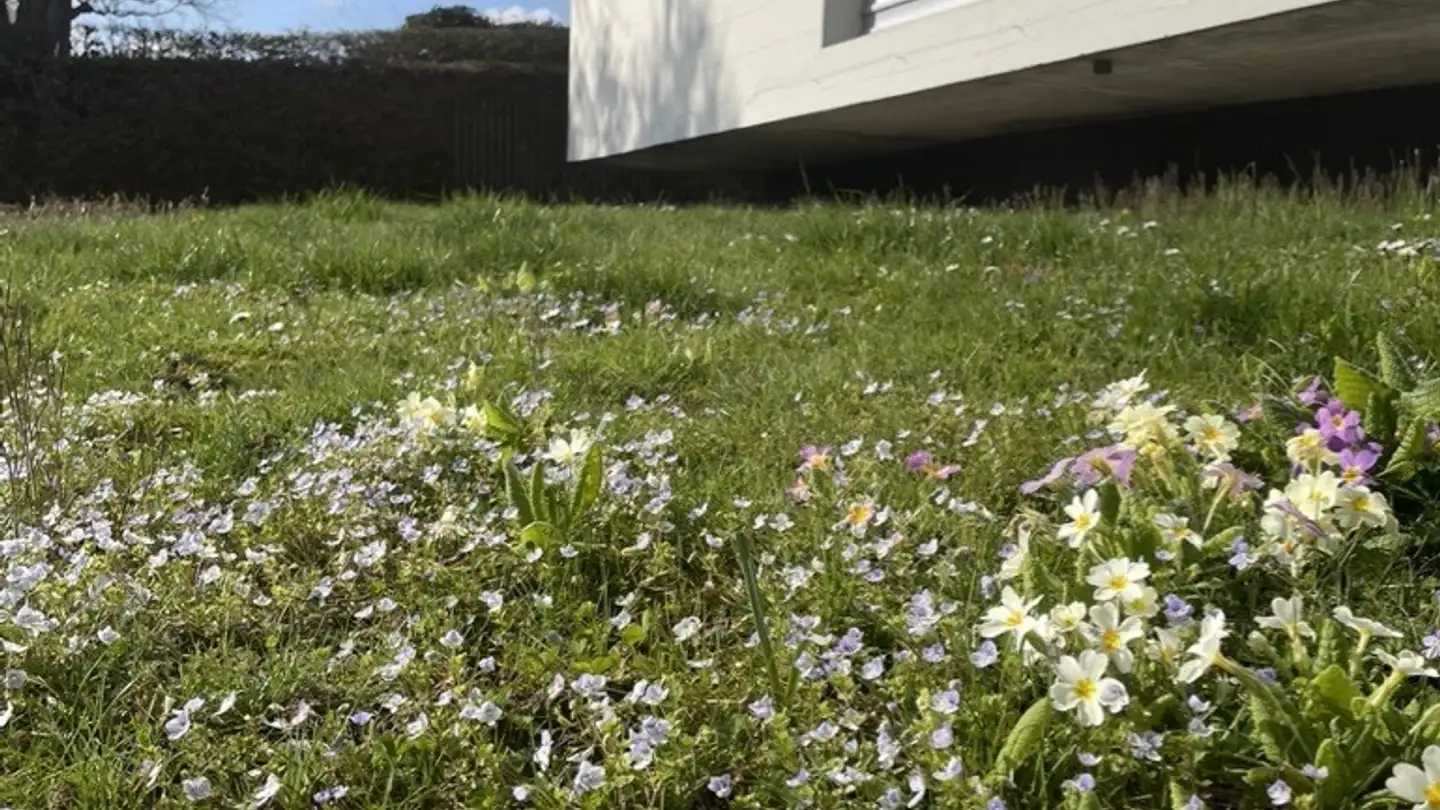 Stanza singola in affitto - 8620 Wetzikon ZH - Foto 4