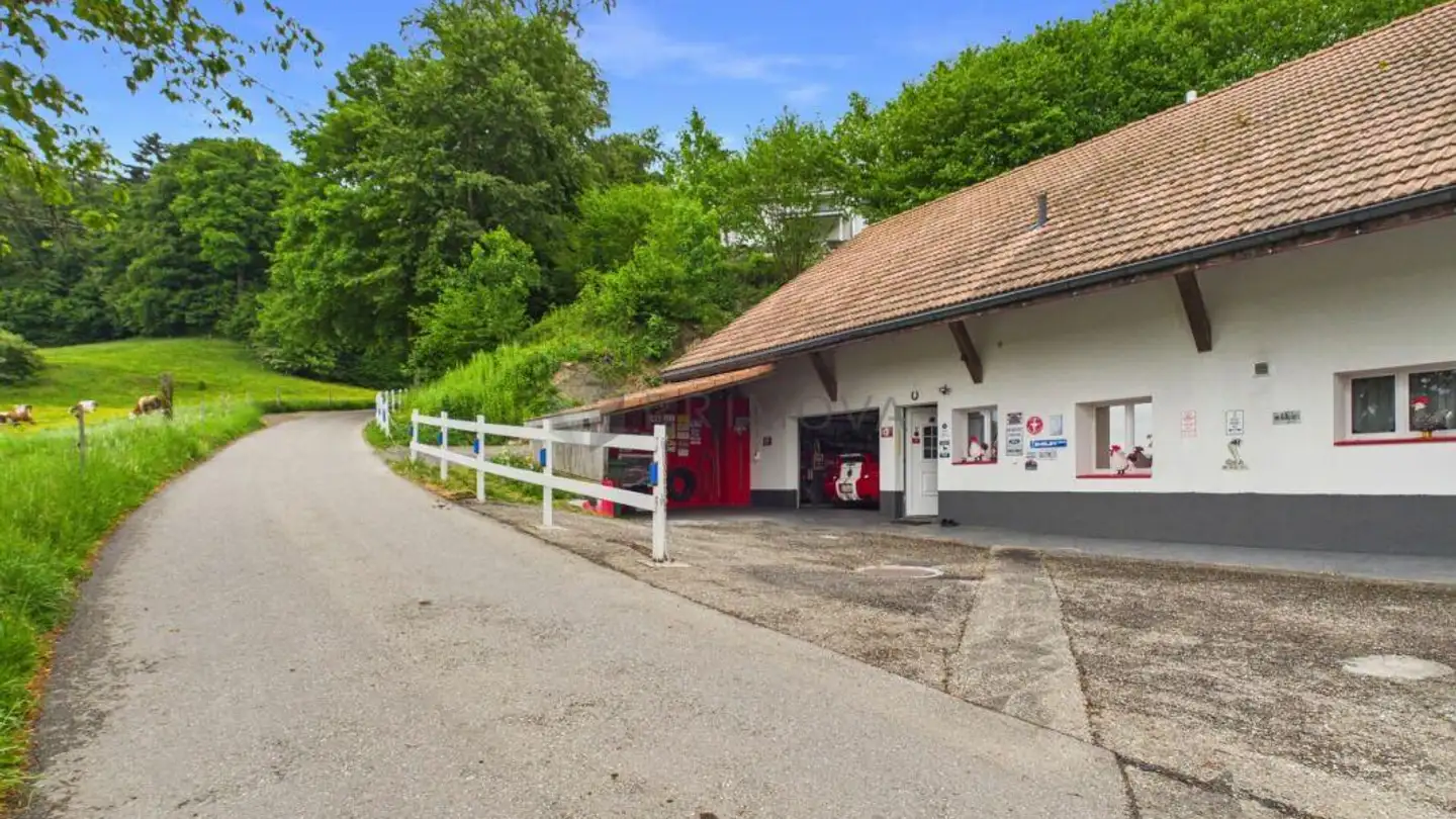 Residential building for sale - 3365 Grasswil