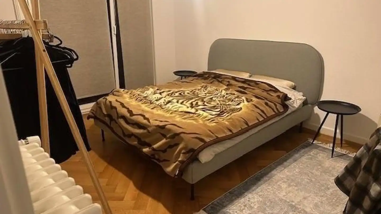 Apartment for rent - Rue Saint-Roch 30, 1004 Lausanne - Photo 2