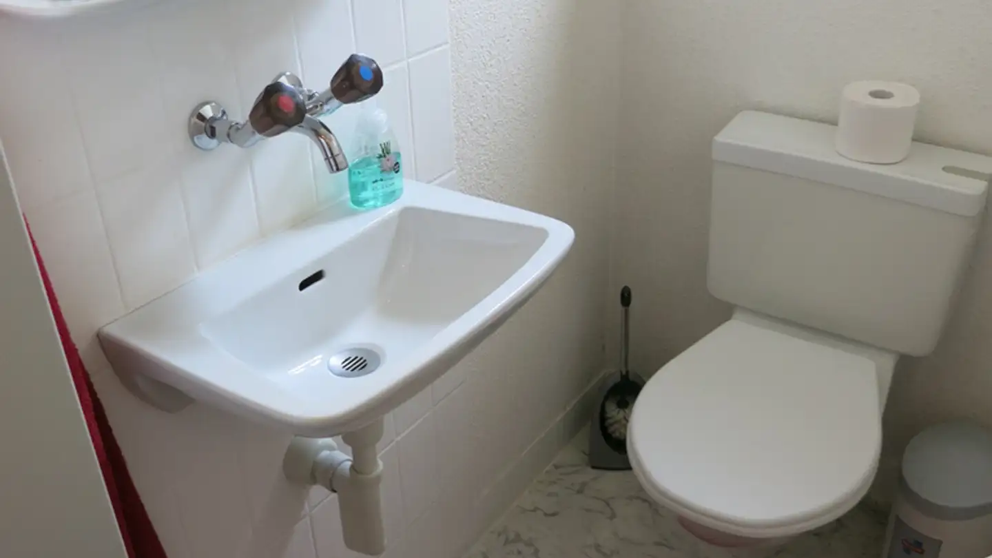 Einfamilienhaus mieten - Hörnlistrasse 67, 8330 Pfäffikon ZH - Foto 4