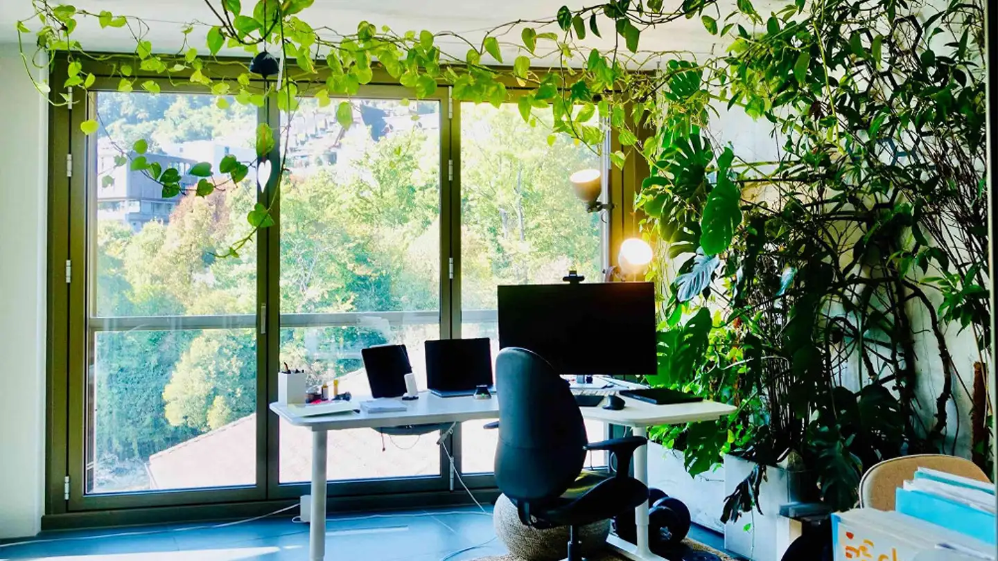 Appartamento in affitto - Museumstrasse 46, 5200 Brugg AG - Photo 2