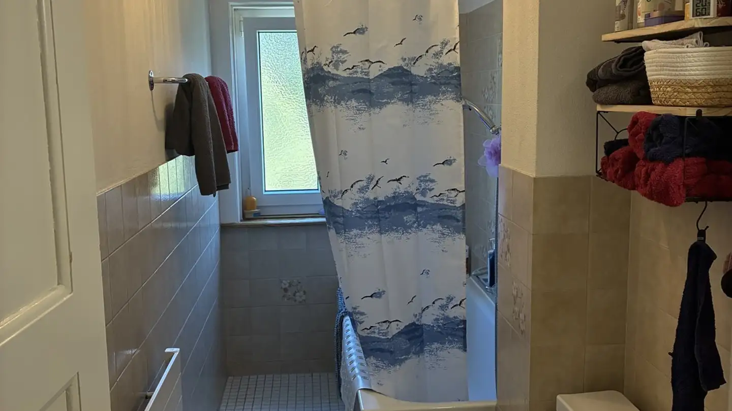 Wohnung mieten - Untere Plessurstrasse 46, 7000 Chur - Foto 4