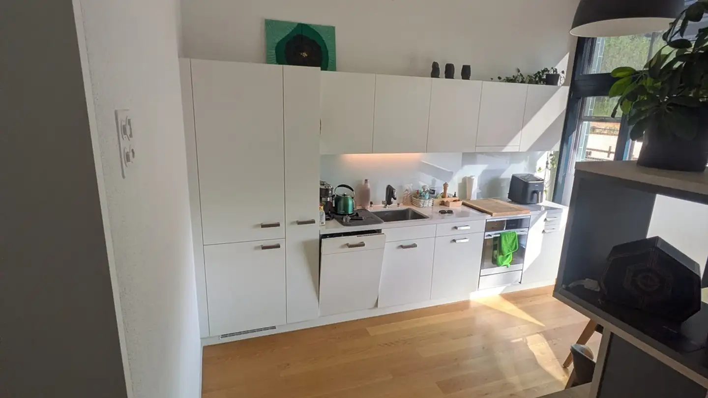 Appartamento in affitto - 8152 Glattpark (Opfikon) - Foto 3