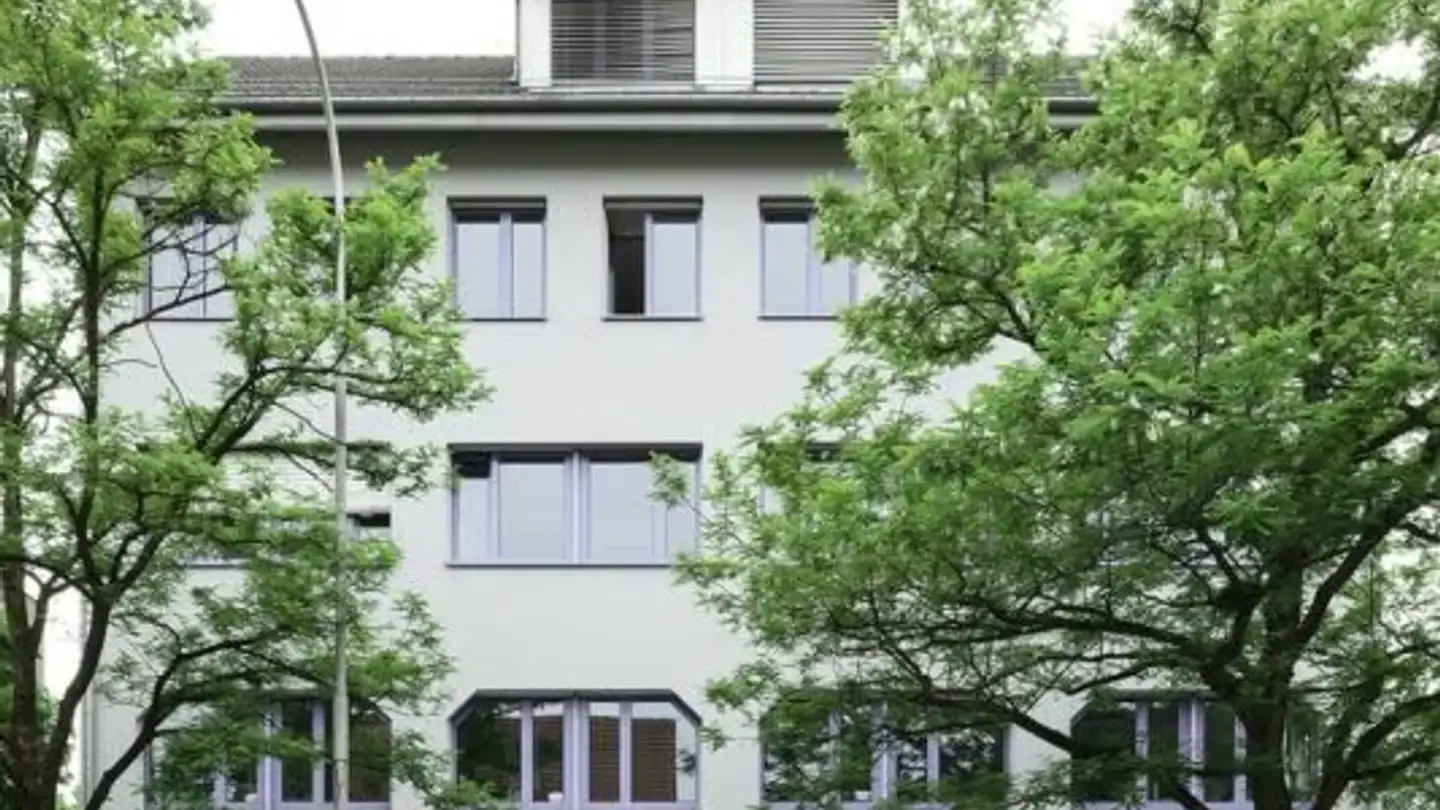 Attico in affitto - Schöneggstrasse 6, 8953 Dietikon - Foto 3