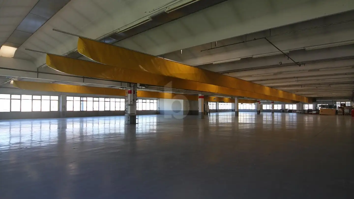 Factory for rent - 6855 Stabio - Photo 3