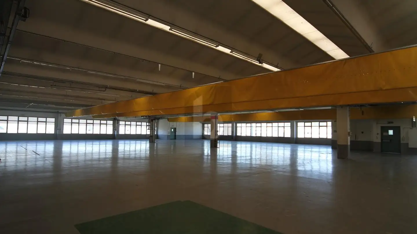 Factory for rent - 6855 Stabio