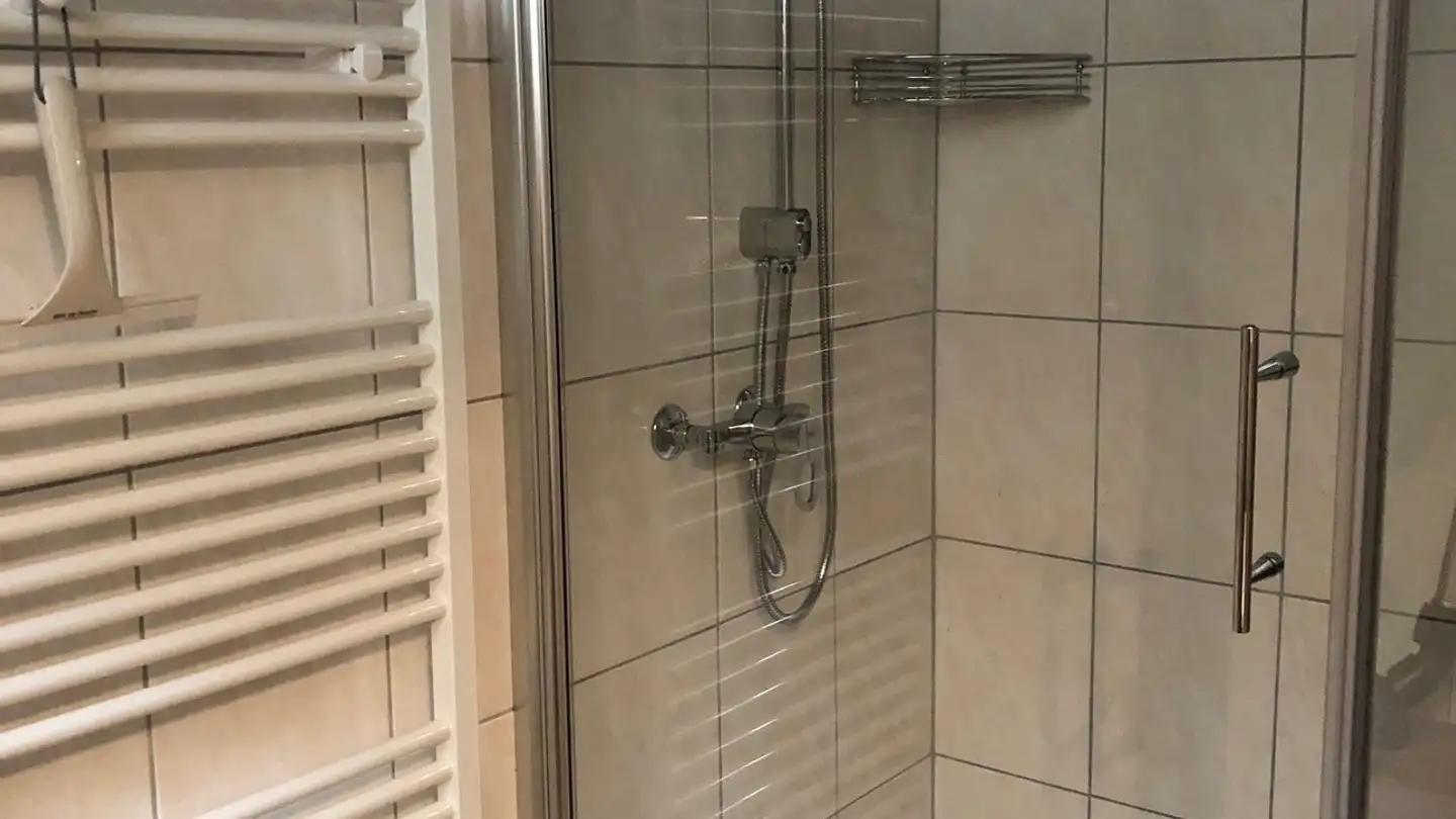 Apartment for sale - 3752 Wimmis - Photo 3