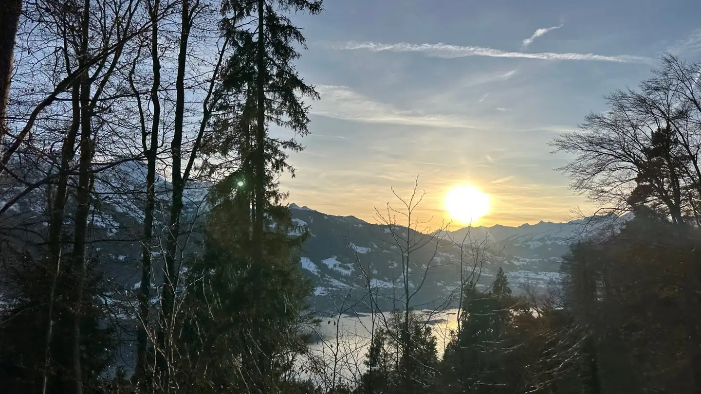 Apartment for sale - 3752 Wimmis - Photo 4