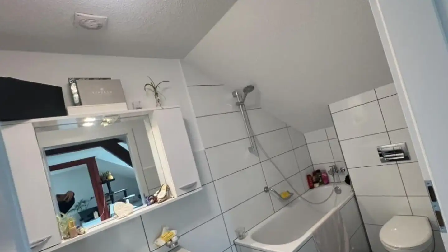 Wohnung mieten - Seetalstrasse 19, 5708 Birrwil - Foto 3