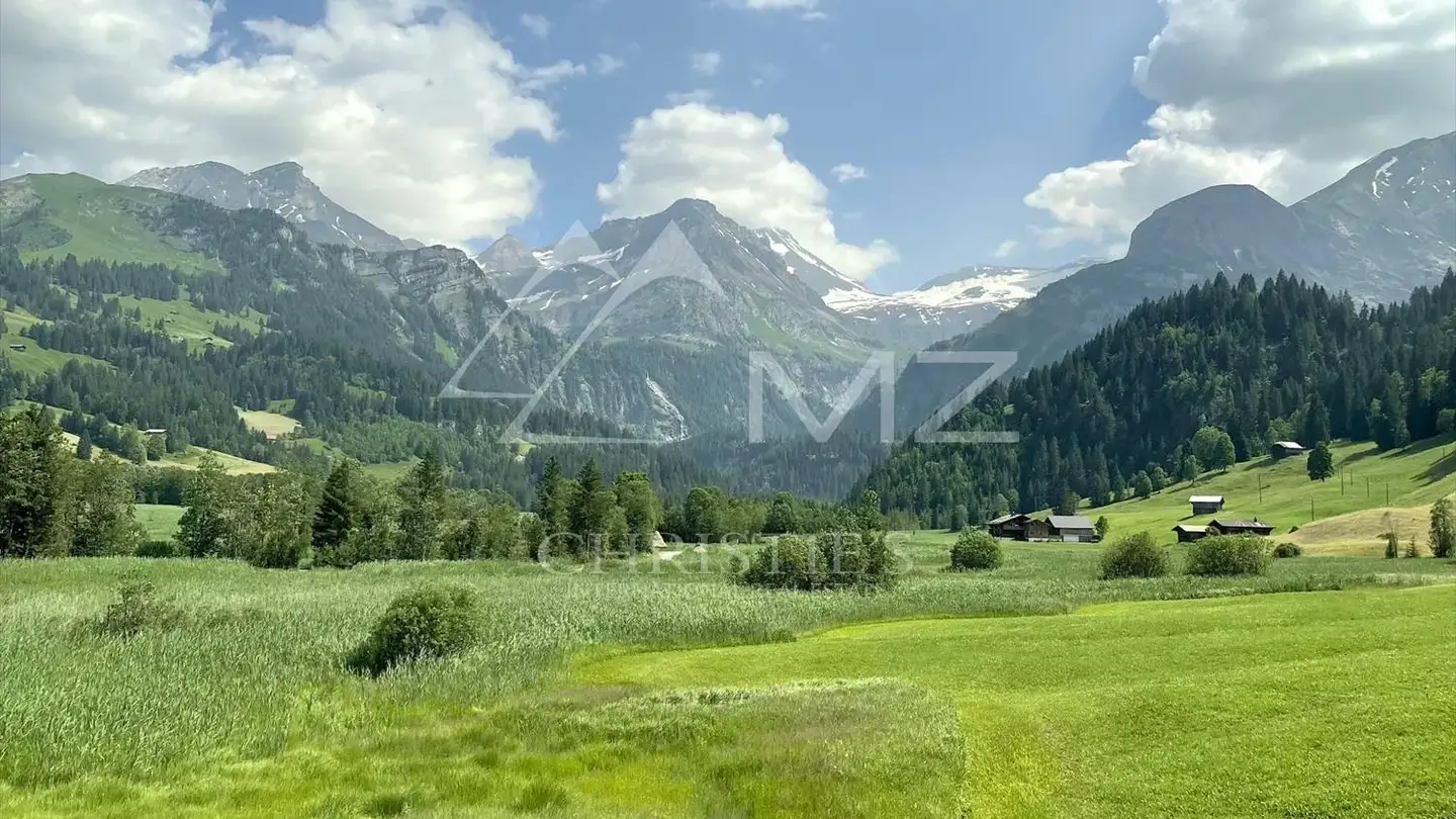 Chalet in affitto - Dorfstrasse 33, 3782 Lauenen b. Gstaad
