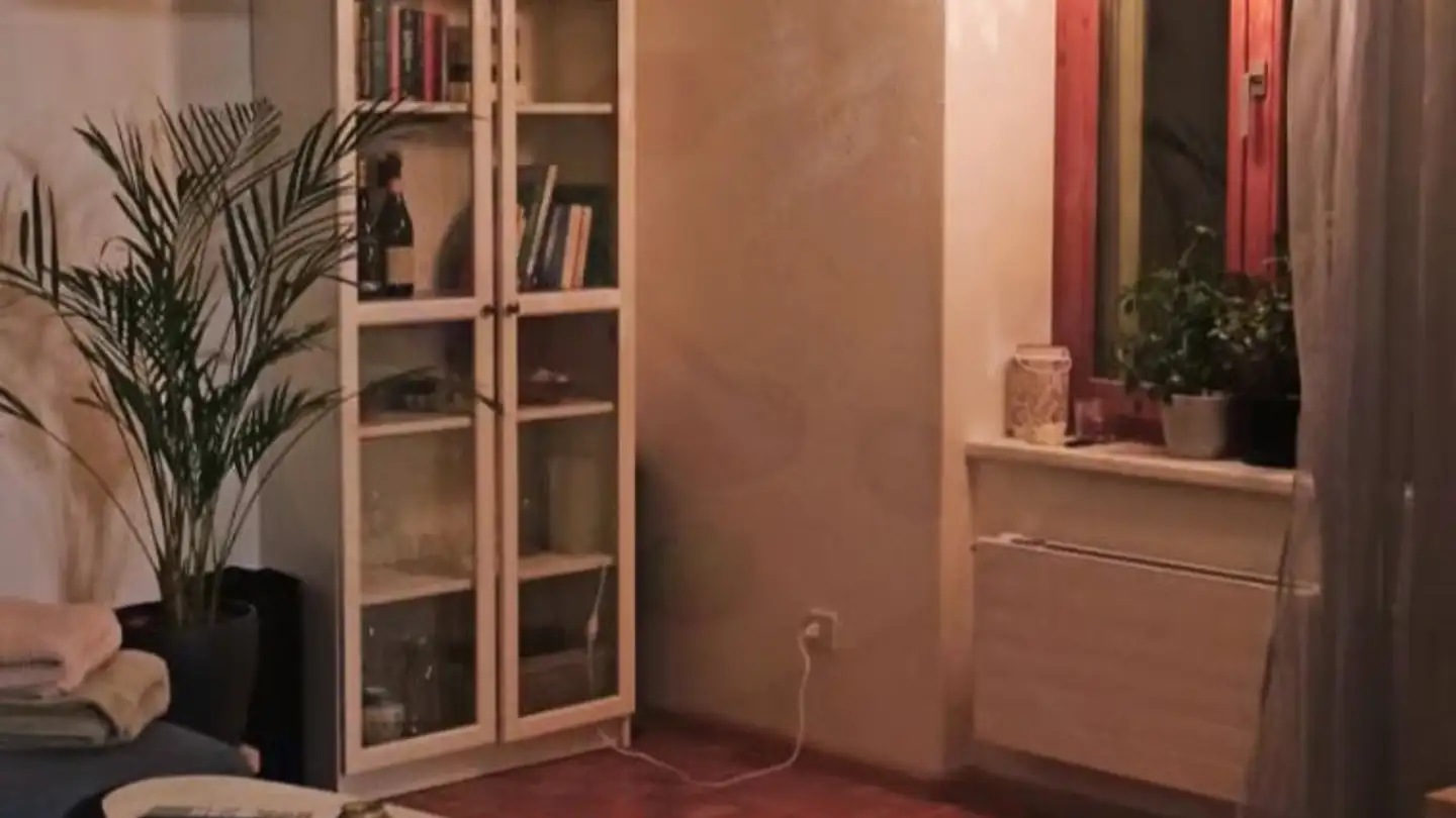 Appartamento in affitto - 4127 Birsfelden - Foto 2