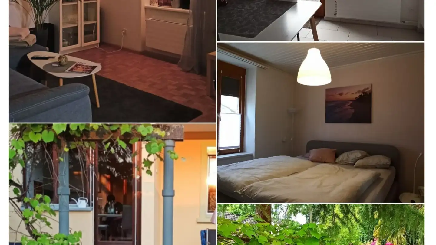 Appartamento in affitto - 4127 Birsfelden