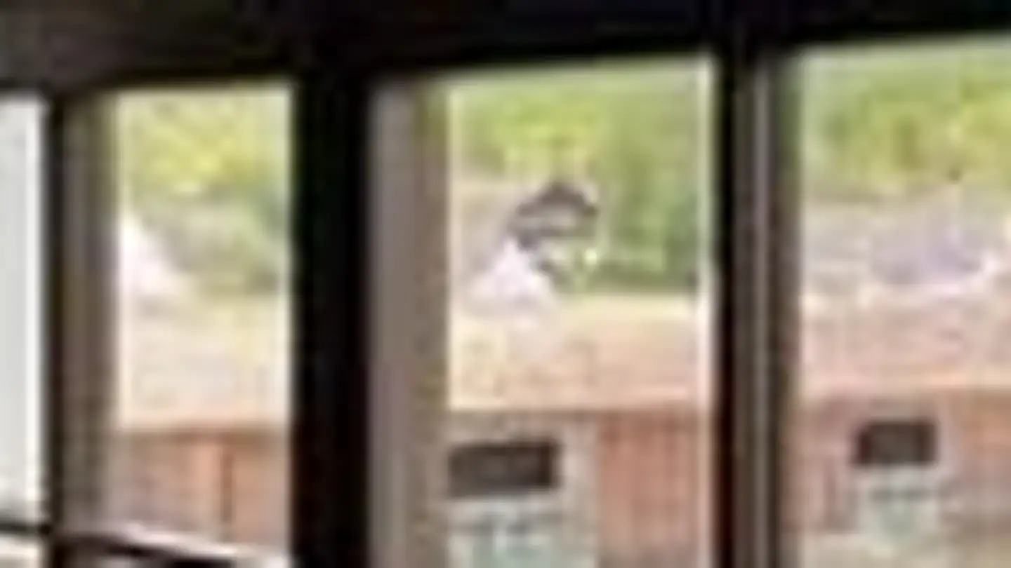 Apartment for rent - Schwaderloch 7, 8253 Diessenhofen - Photo 3