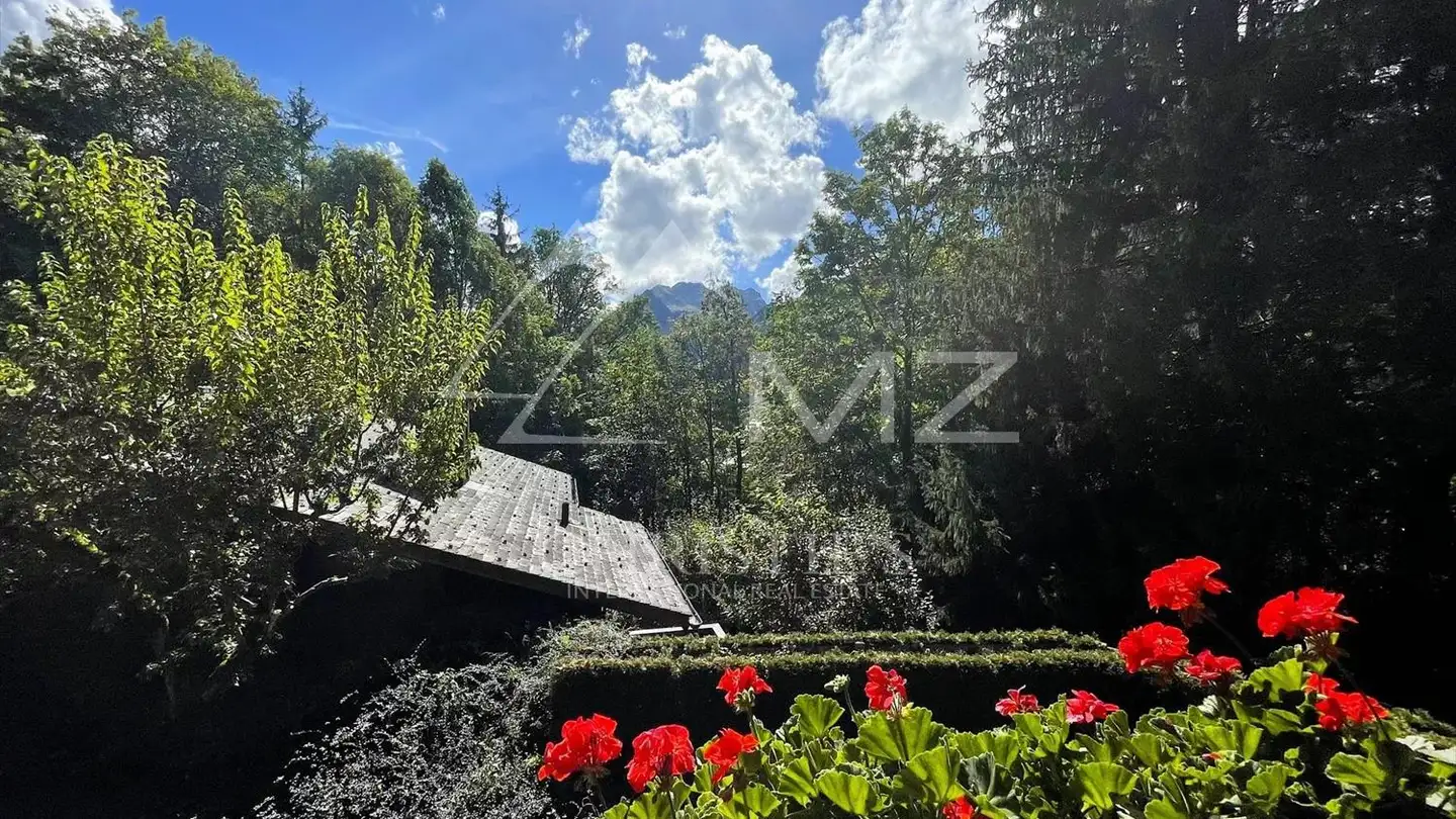 Apartment for rent - 3780 Gstaad