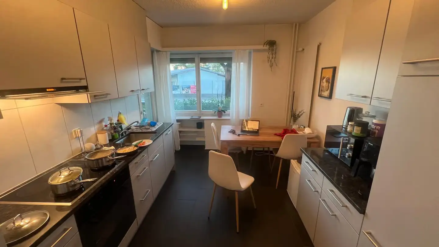 Appartamento in affitto - Hohlstrasse 340, 8004 Zürich - Foto 3
