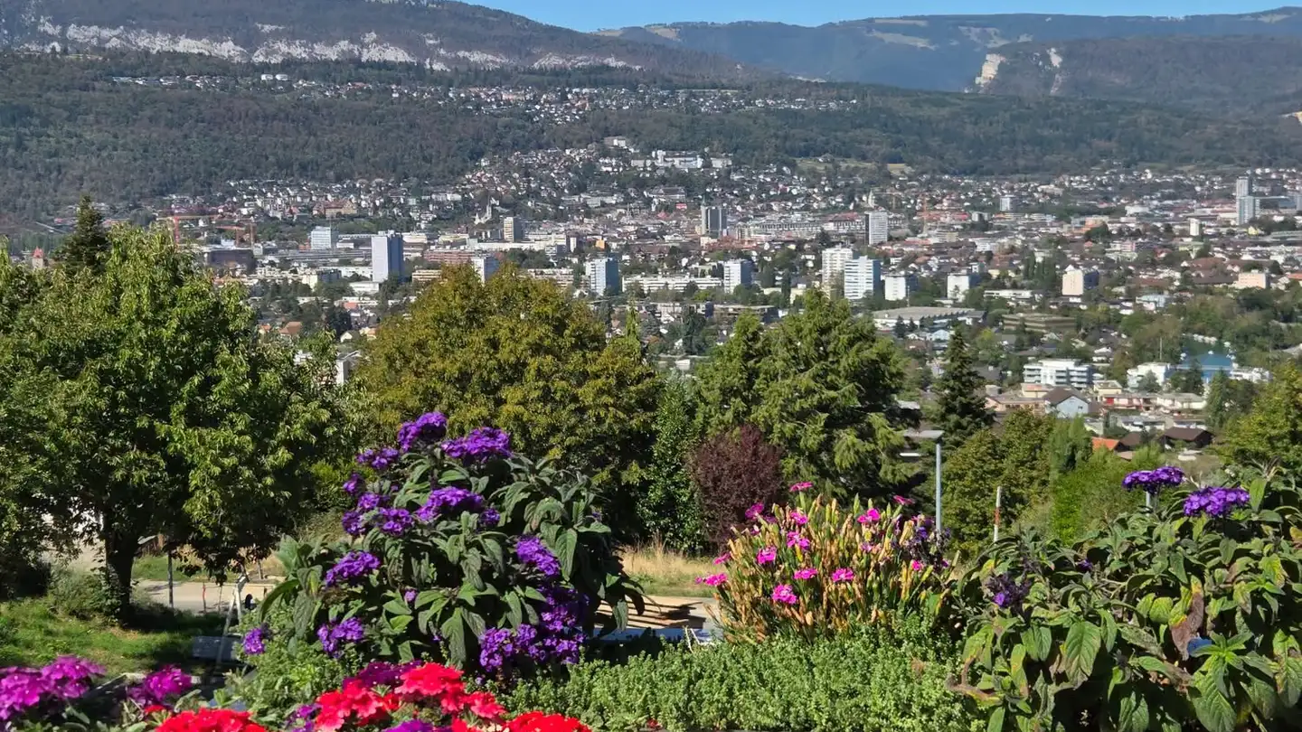 Attique à vendre - Waldrain 22, 2562 Port