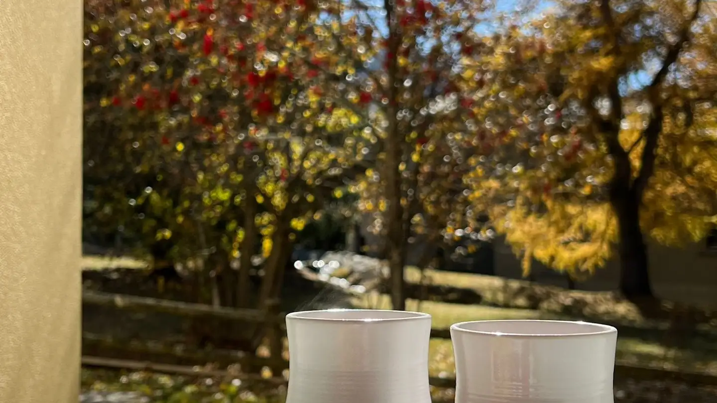 Möblierte Wohnung mieten - Via Da Surlej 27, 7513 Silvaplana-Surlej