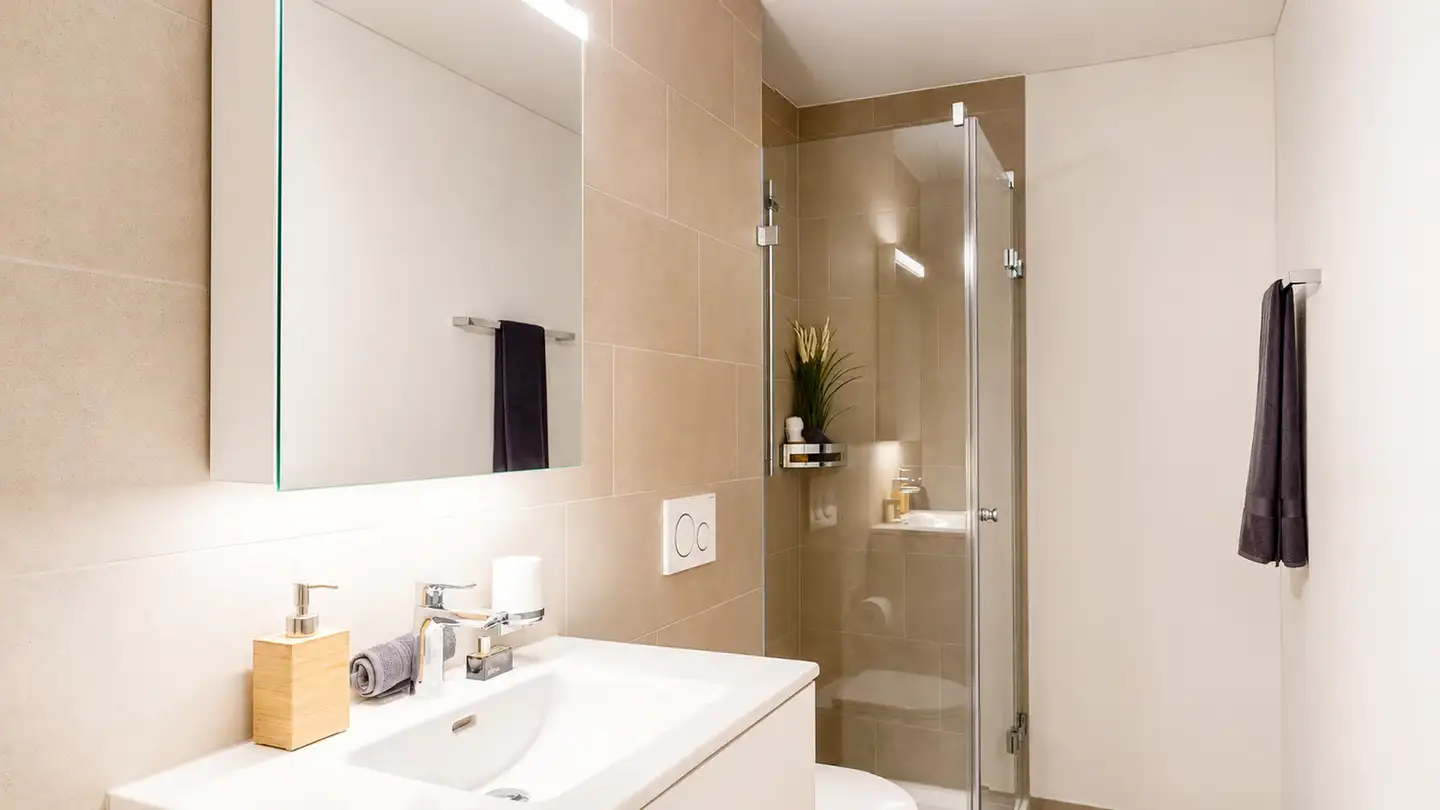 Attic flat for sale - Pestalozzistrasse 12, 5242 Birr - Photo 3