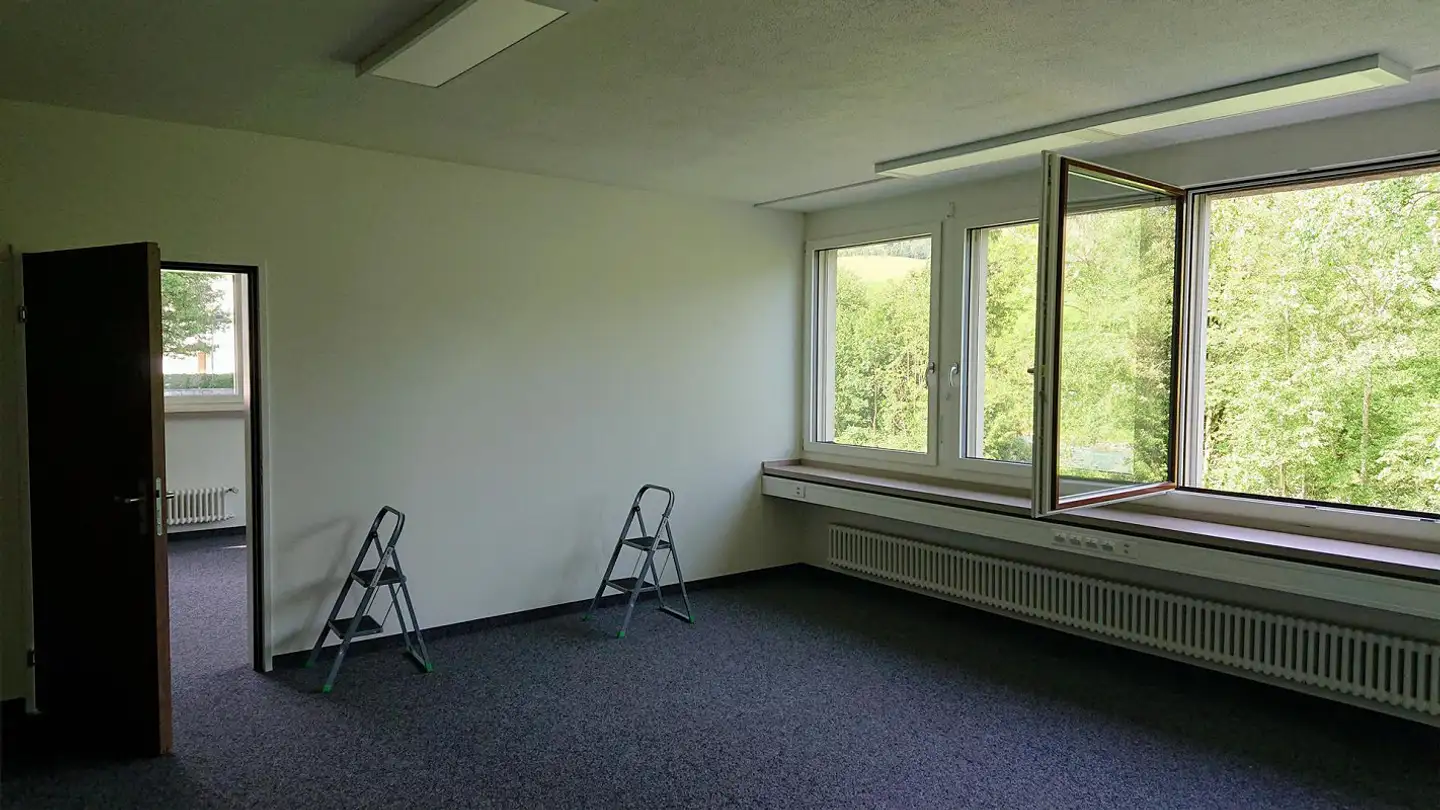 Spazio ufficio in affitto - Dorf 487, 9655 Stein SG - Photo 2