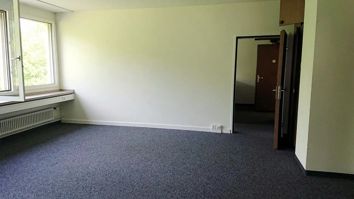 Spazio ufficio in affitto - Dorf 487, 9655 Stein SG - Photo 3