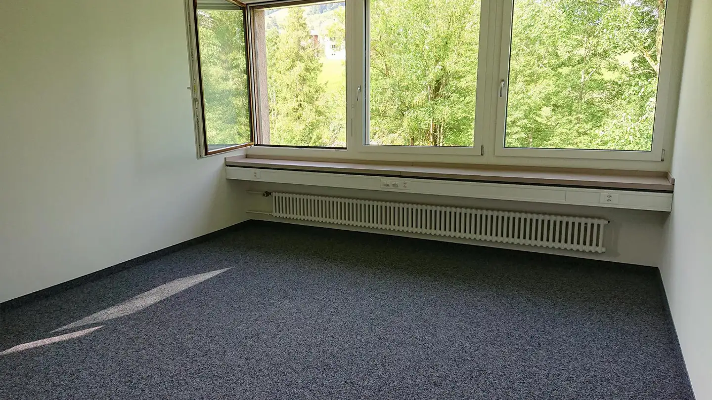 Spazio ufficio in affitto - Dorf 487, 9655 Stein SG - Photo 4