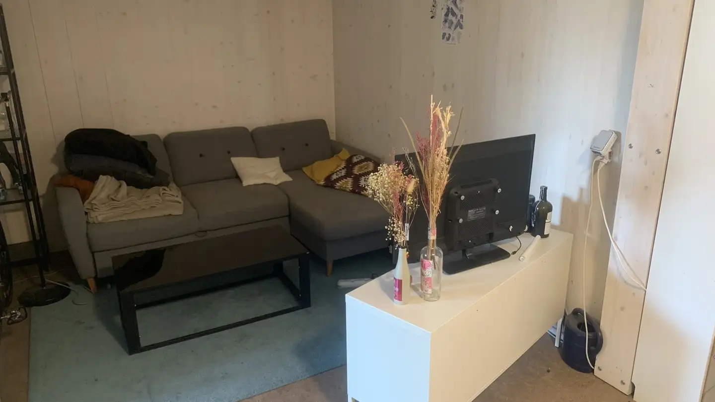 Single room for rent - Geerenweg 18, 8048 Zürich - Photo 4