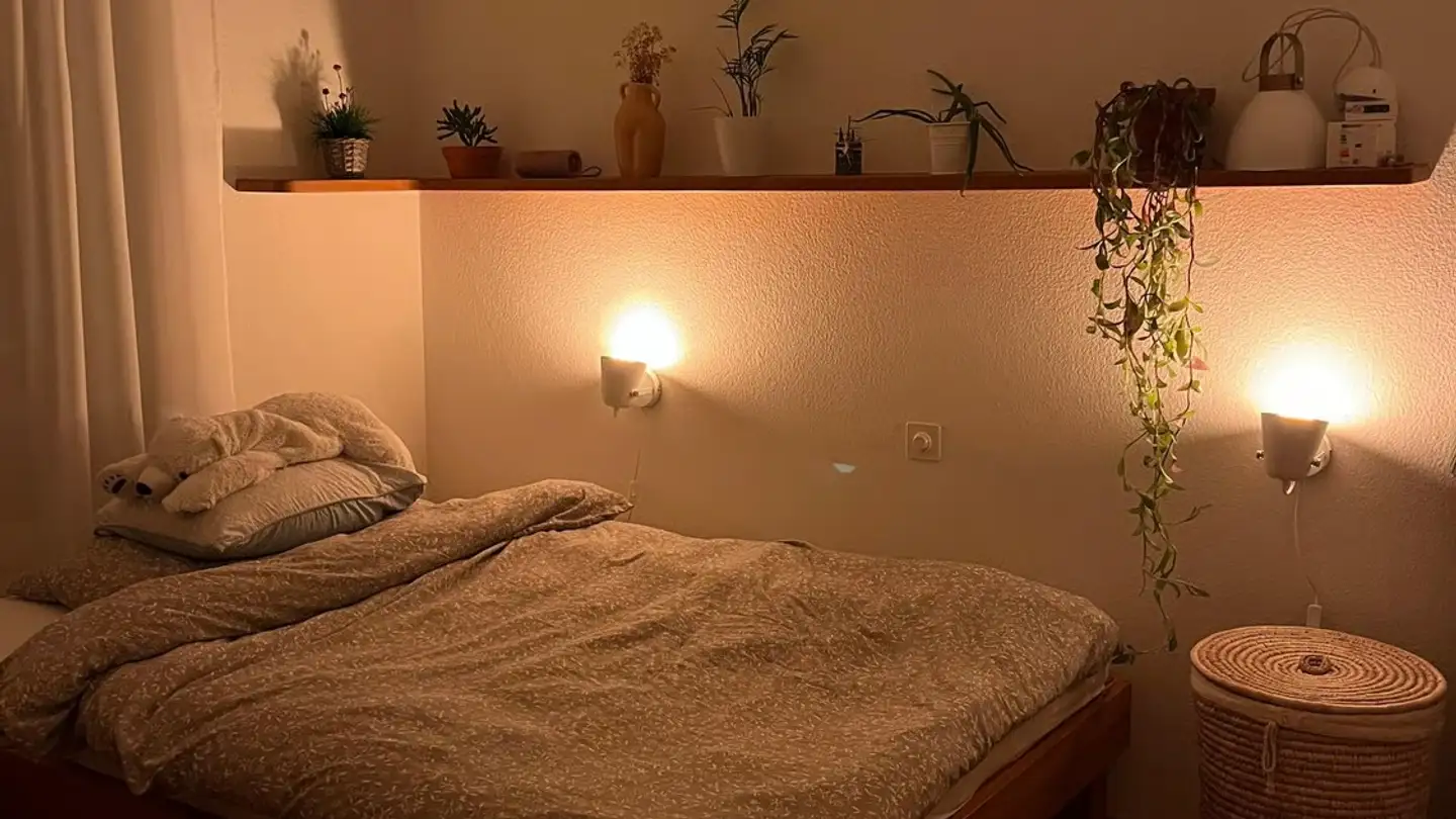 Furnished apartment for rent - 4410 Liestal