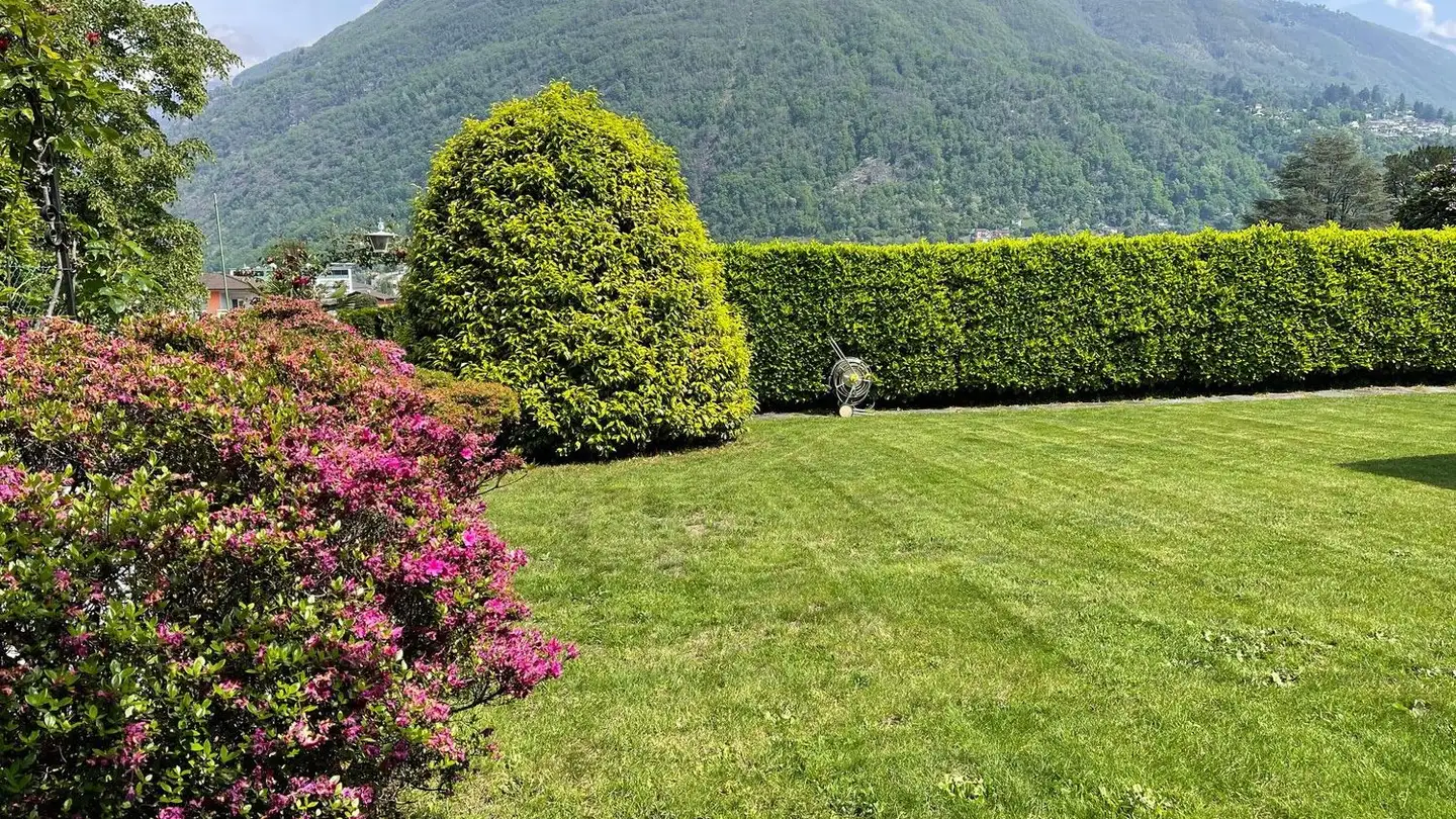 Appartement à louer - Via San Materno 26, 6616 Losone