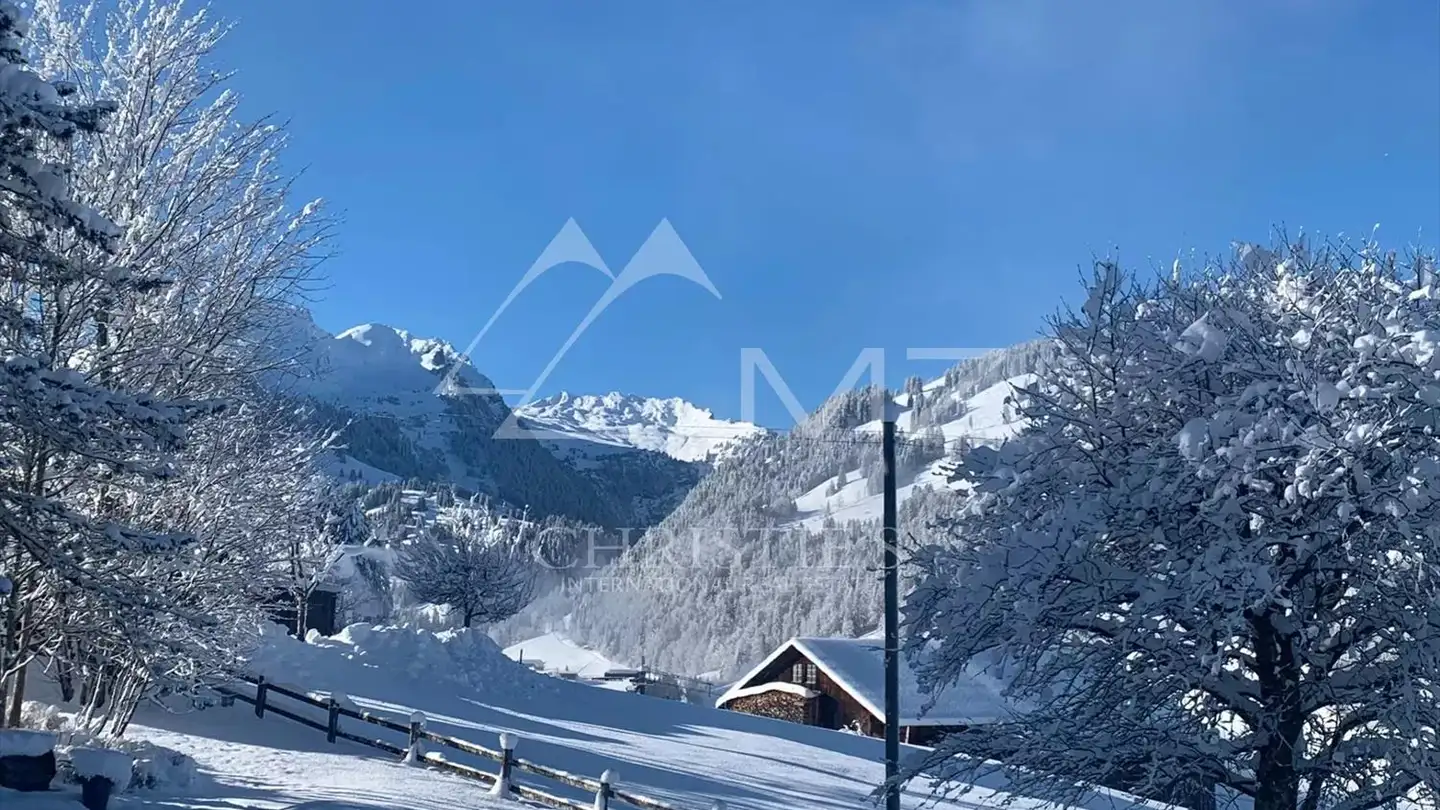 Chalet in affitto - 3780 Gstaad