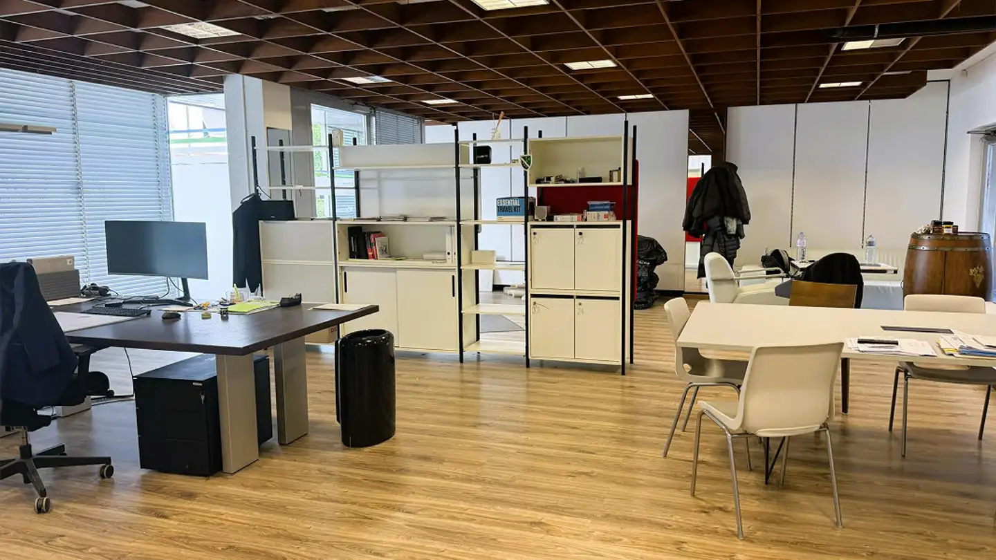 Mixed-use building for sale - Biberstrasse 7, 8240 Thayngen - Photo 4