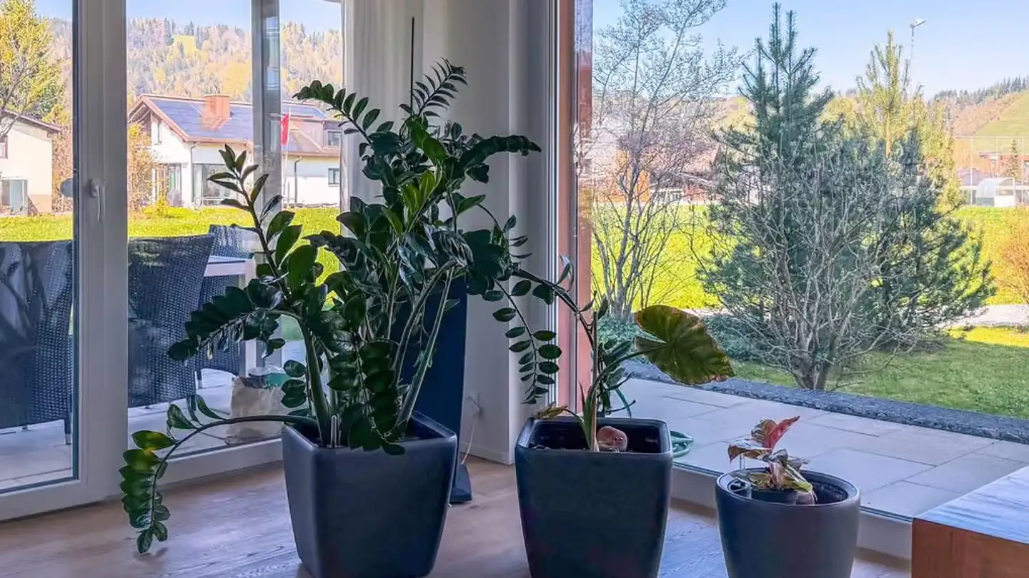 Apartment for rent - Rappenmööslistrasse 30, 8840 Einsiedeln - Photo 3