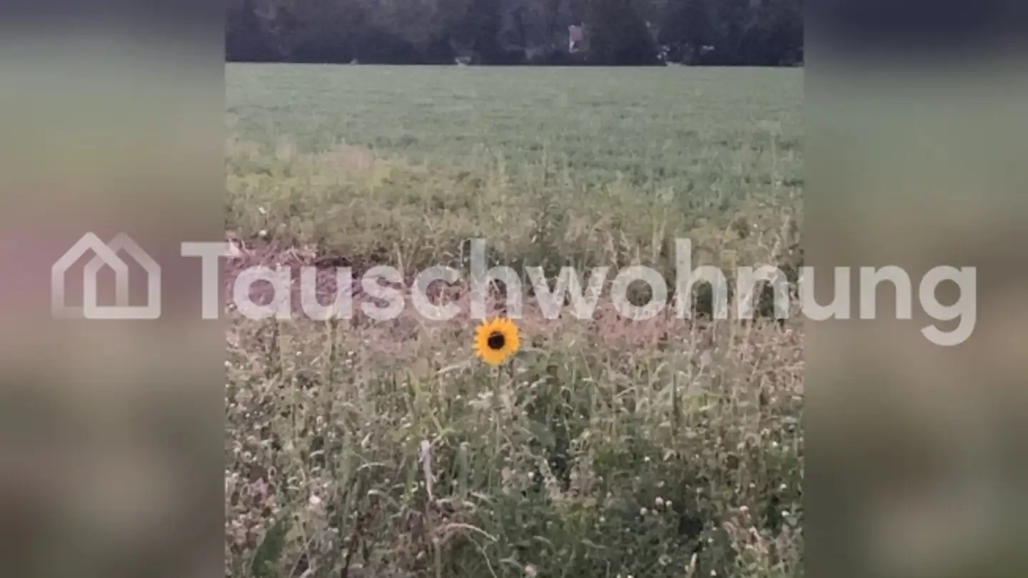 Apartment for rent - 4914 Roggwil BE - Photo 3