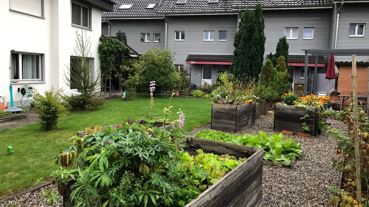 Maison individuelle à louer - Bernstrasse 34, 3324 Hindelbank - Photo 2