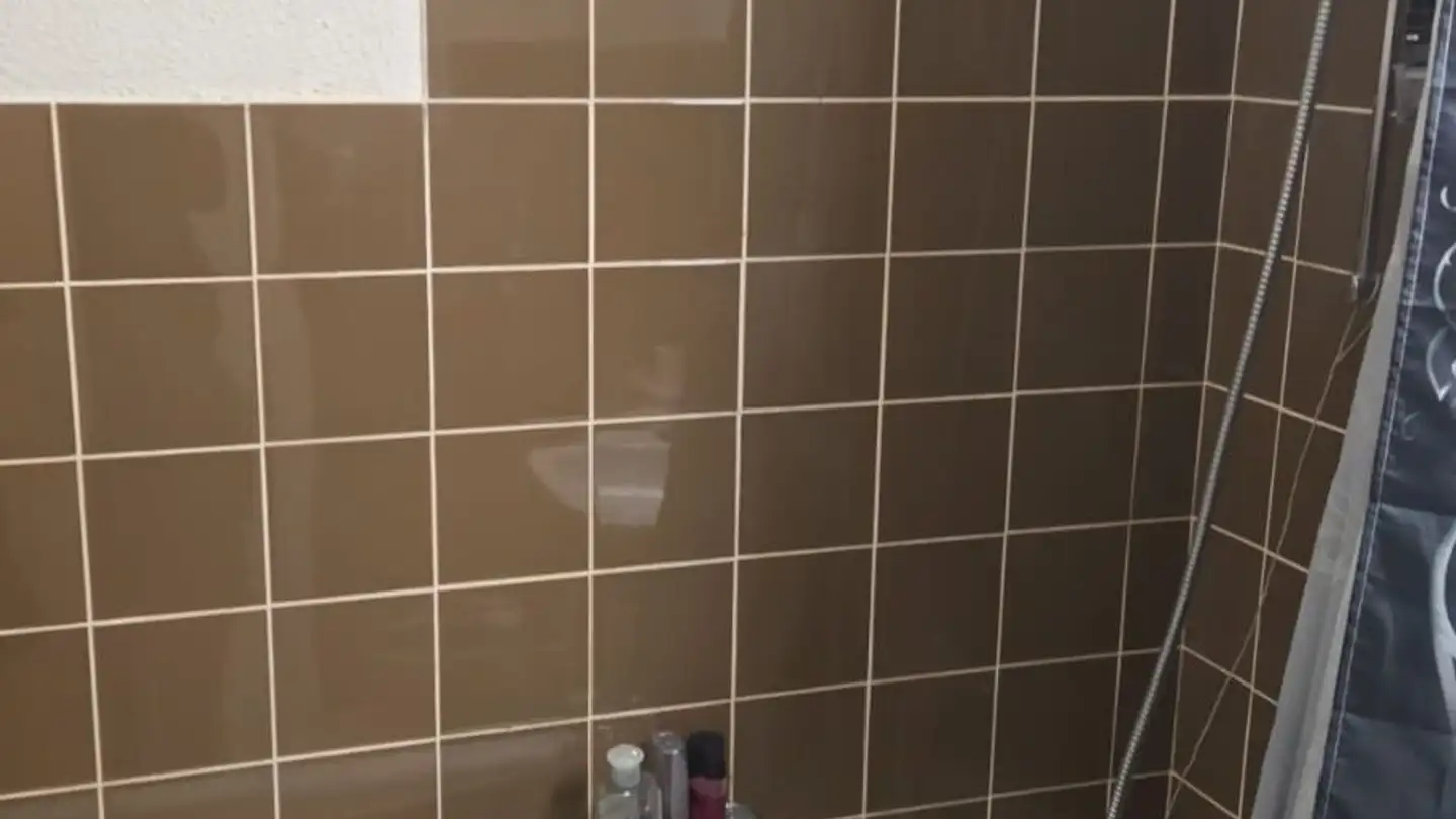 Apartment for rent - Staffelackerstrasse 7, 8953 Dietikon - Photo 3