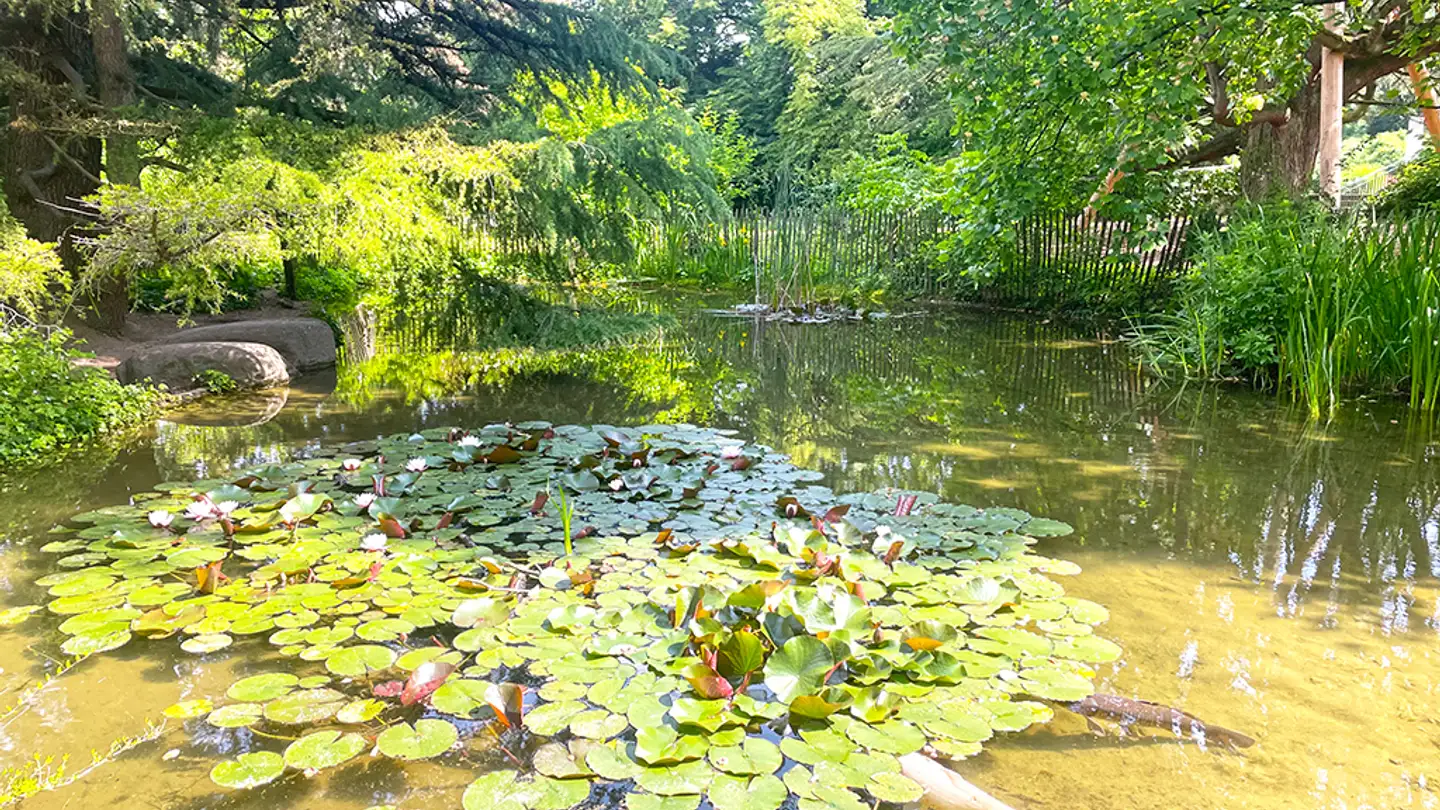 Duplex in vendita - 1400 Cheseaux-Noréaz