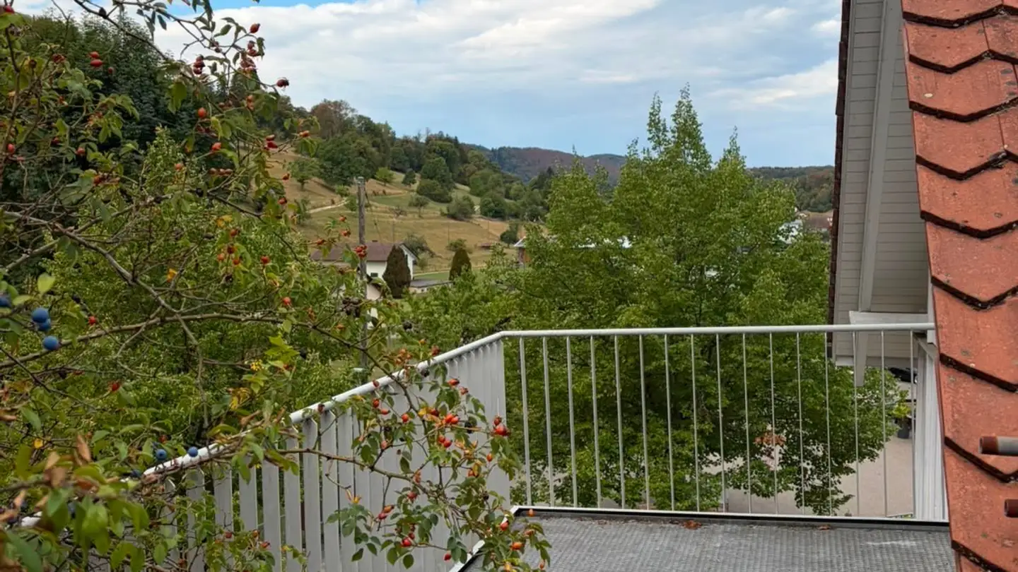 Appartamento in affitto - Bretzwilerstrasse 5, 4206 Seewen SO - Foto 2