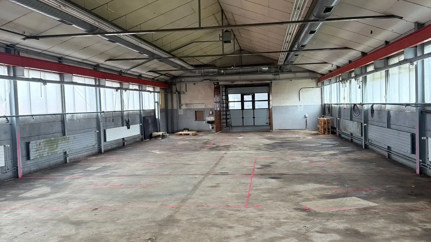 Proprietà industriale in affitto - Hauptstrasse 97b, 8264 Eschenz