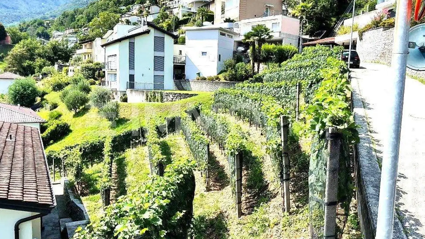 Terreno edificabile in vendita - 6596 Gordola - Foto 2