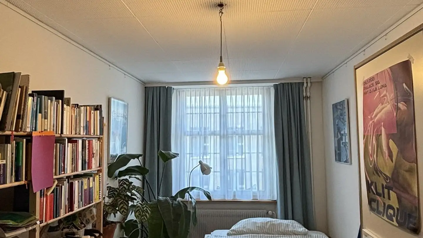 Single room for rent - Steinberggasse 61, 8400 Winterthur - Photo 2