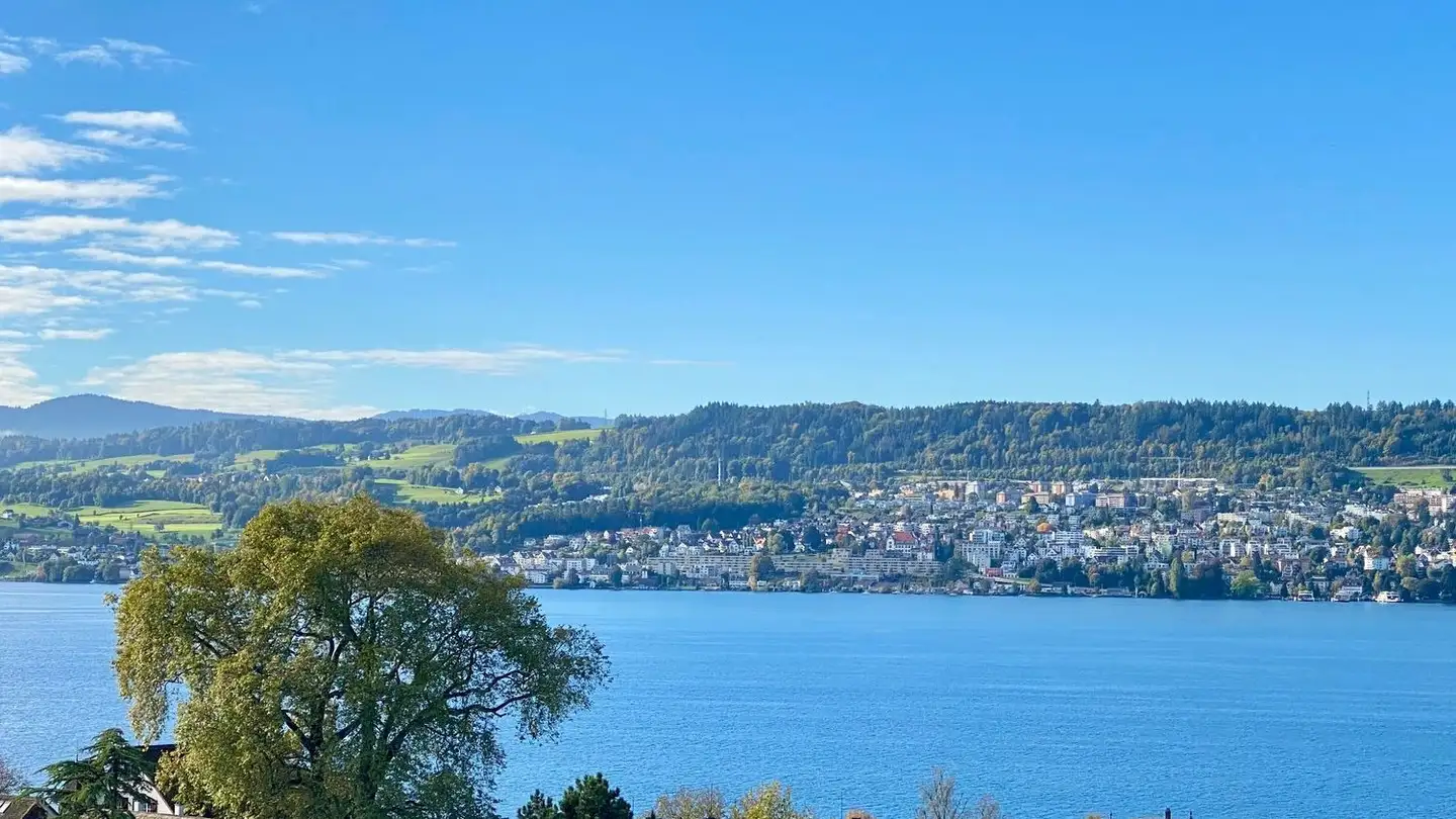 Penthouse for rent - Teienstrasse 98, 8706 Meilen